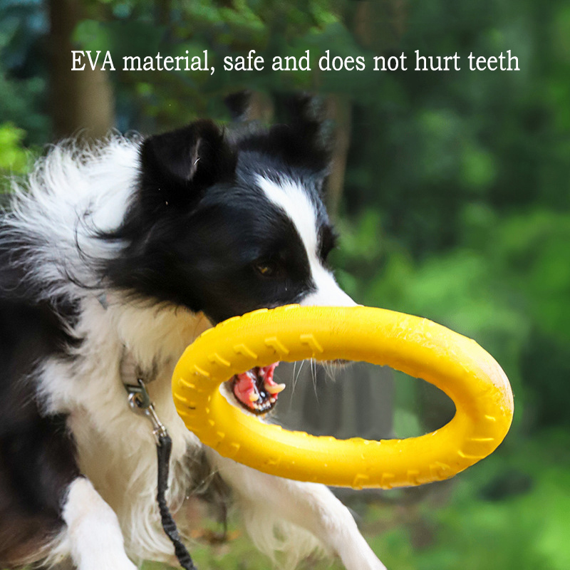 EVA 내구성 개 장난감 4 팩 플라잉 디스크 + 공  - Indestructible Dog Chew Toy 리뷰 및 가격