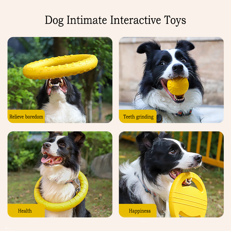EVA 내구성 개 장난감 4 팩 플라잉 디스크 + 공  - Indestructible Dog Chew Toy 리뷰 및 가격
