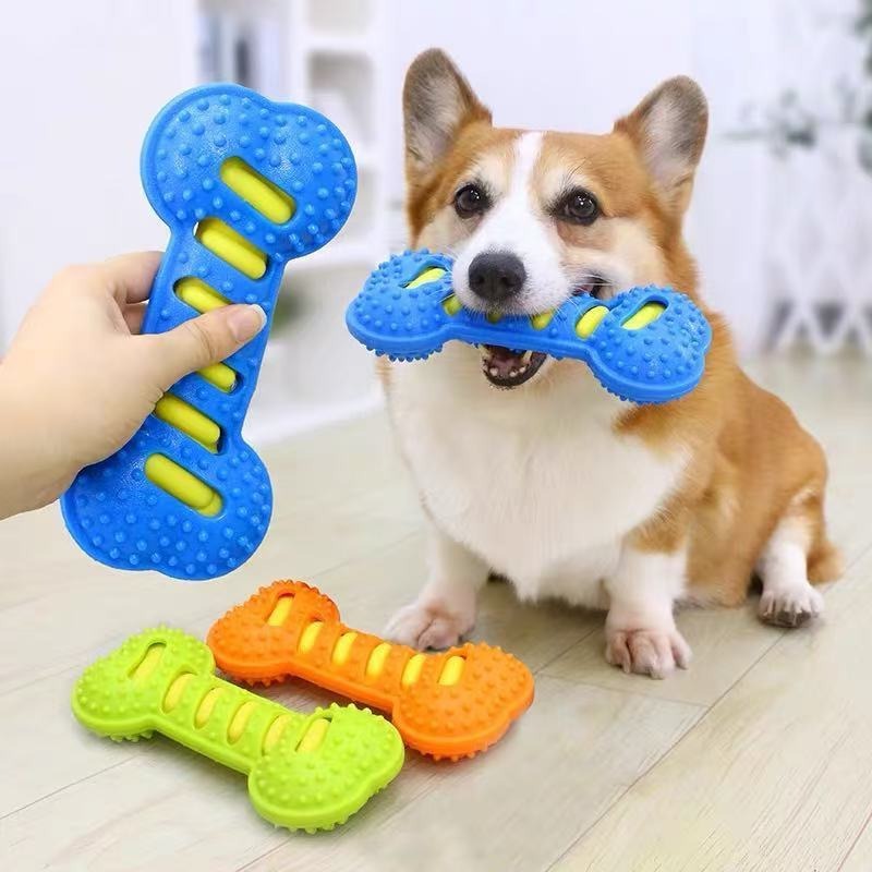 고무 뼈 모양 강아지 어금니 스틱 무독성 치아 세척 씹 - Teeth Cleaning Dog Chew Bone 리뷰 및 가격