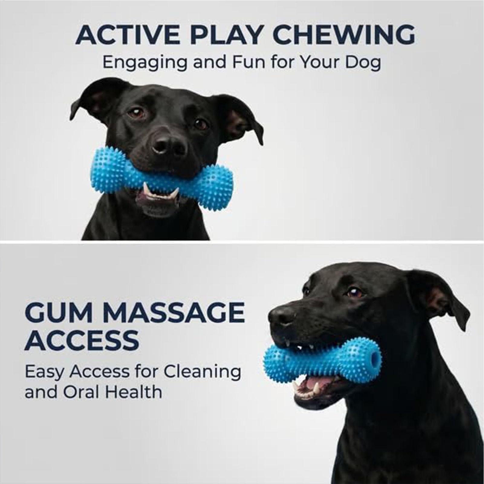 강아지용 칫솔 장난감, 씹는 막대, 입을 벌려주는 장난 - Rubber Treat Dispensing Dog Toy 리뷰 및 가격
