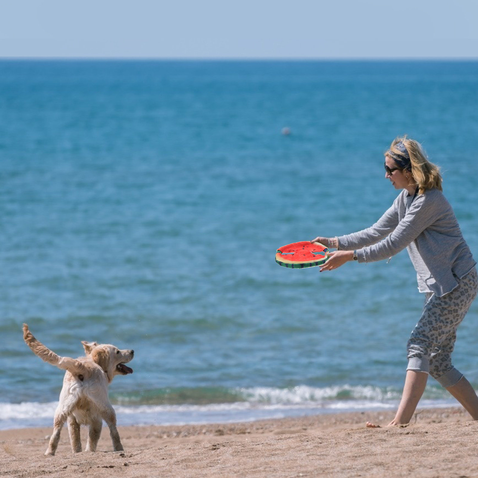 강아지용 플라잉 디스크, 물에 뜨는 디자인, 가벼운 무 - Flying Disc Dog Training Toy 리뷰 및 가격