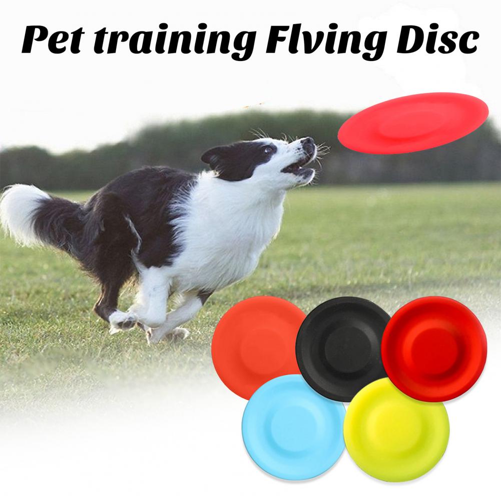 애완견 플라잉 디스크 장난감, 실리카 젤, 미니, 물기 - Flying Disc Dog Training Toy 리뷰 및 가격