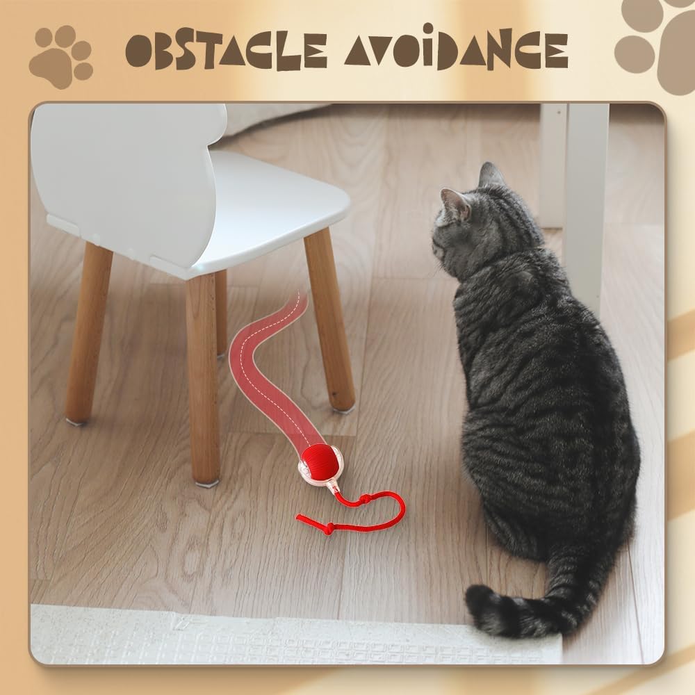 2026 인터랙티브 롤링 도그 볼 자동 이동 고양이 장 - Automatic Moving Dog Ball 리뷰 및 가격