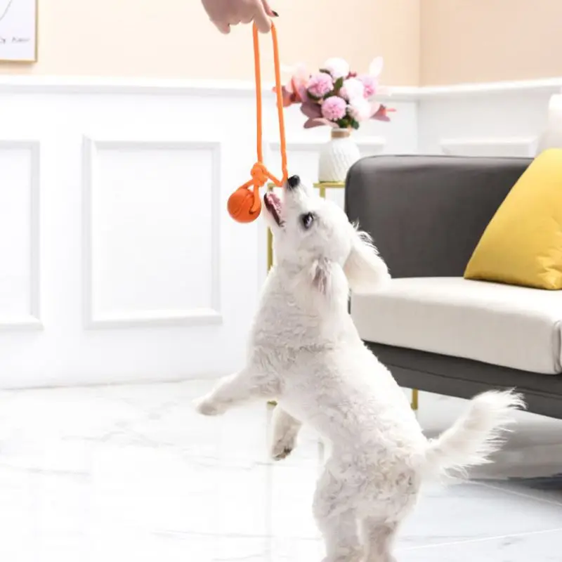 코튼 로프 공 장난감 개 훈련 공, 내구성 있는 상호작 - Indestructible Dog Chew Toy 리뷰 및 가격