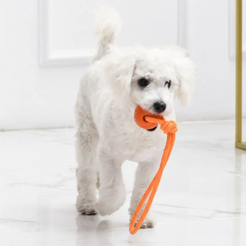 코튼 로프 공 장난감 개 훈련 공, 내구성 있는 상호작 - Indestructible Dog Chew Toy 리뷰 및 가격