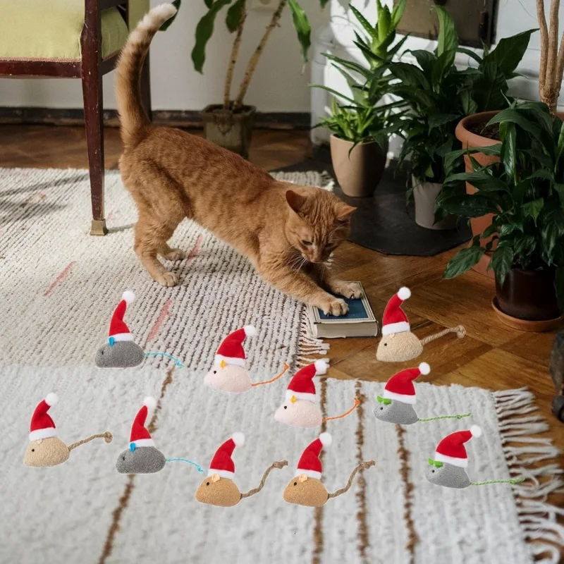 1~5개 세트 크리스마스 모자 장식 마우스 인형, 소형 - Catnip Interactive Plush Mouse 리뷰 및 가격