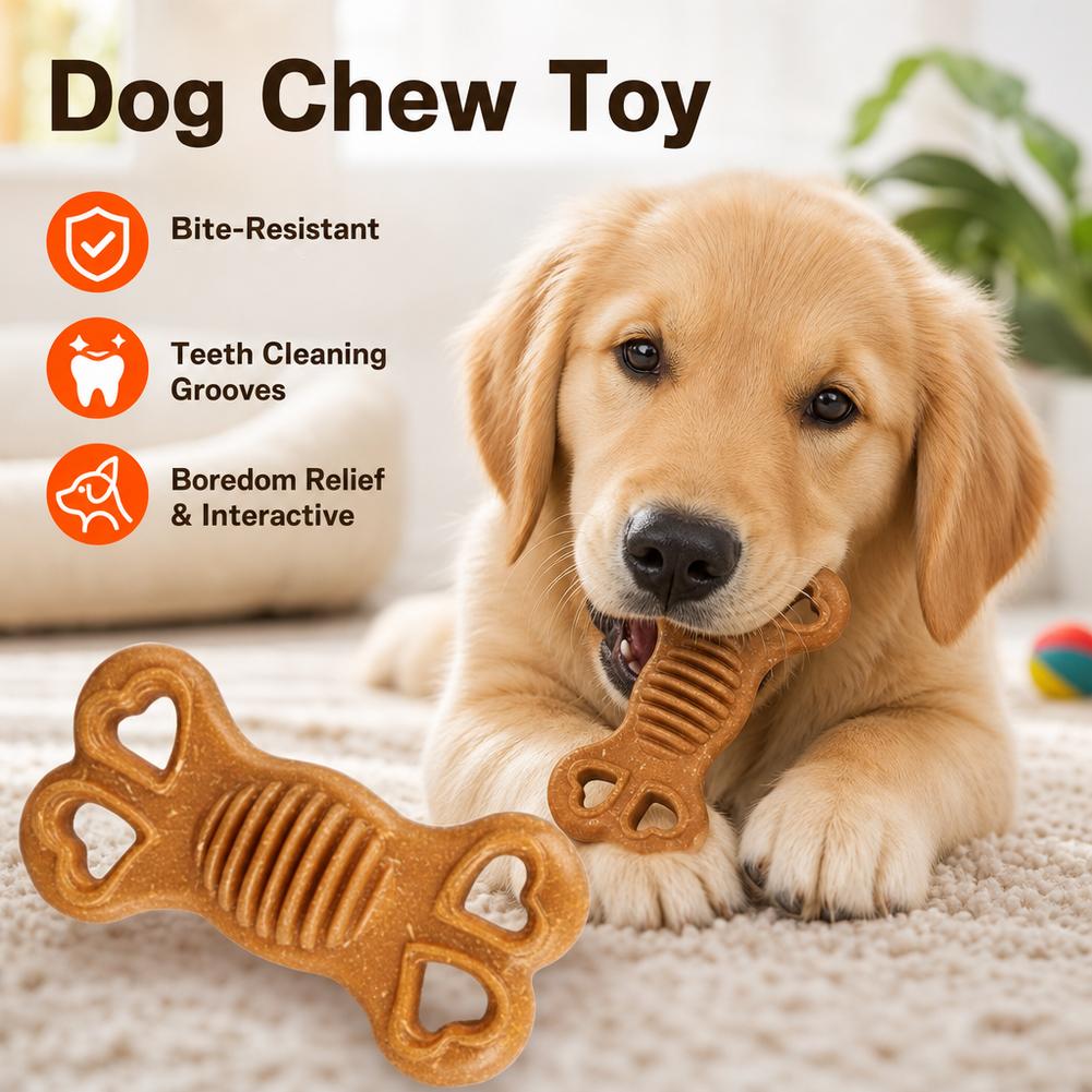 내구성이 뛰어난 강아지용 씹는 장난감, 뼈 모양, 강한 - Teeth Cleaning Dog Chew Bone 리뷰 및 가격