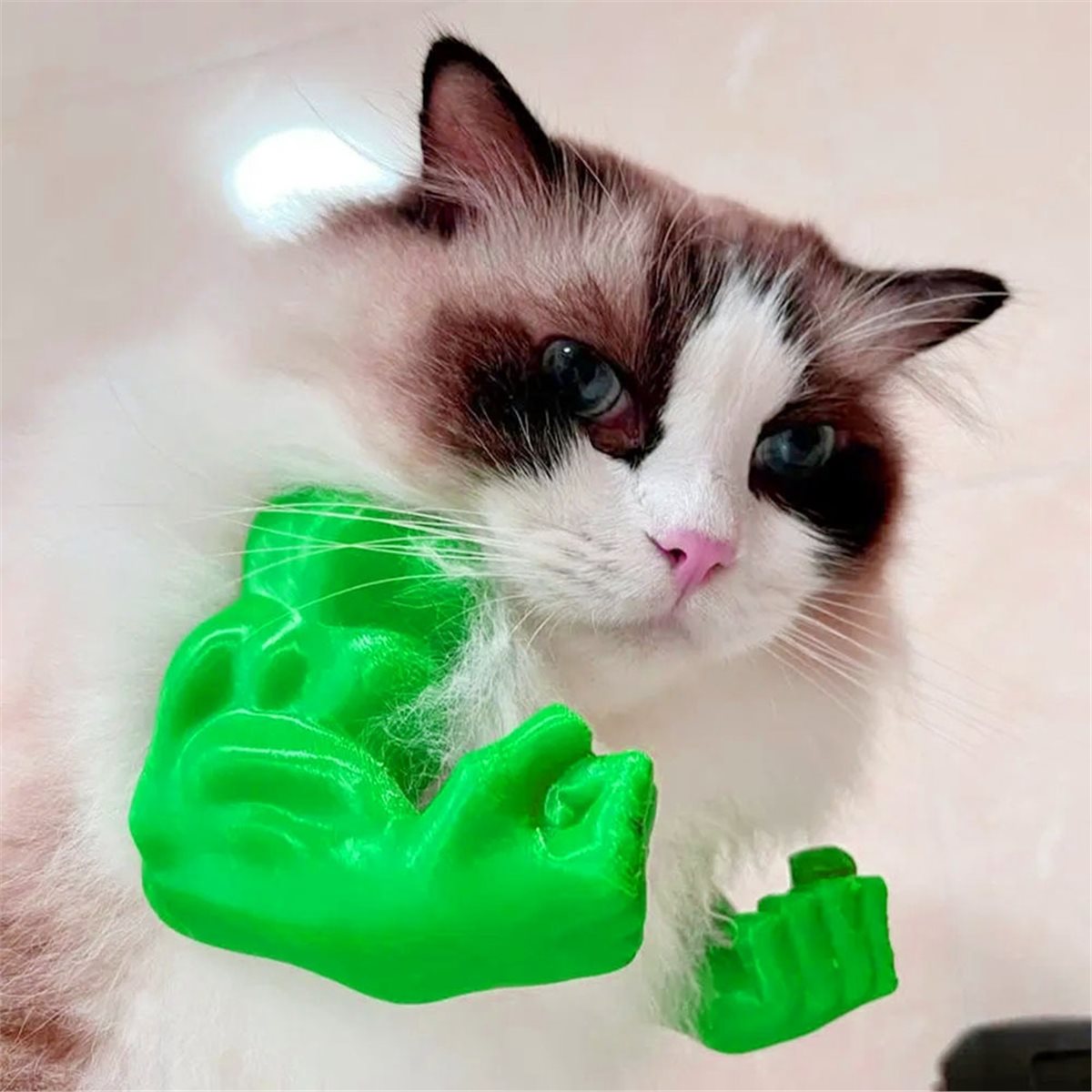 새로운 고양이 근육 팔 장식, 애완 고양이 주먹 모양  - Cat Toys 리뷰 및 가격